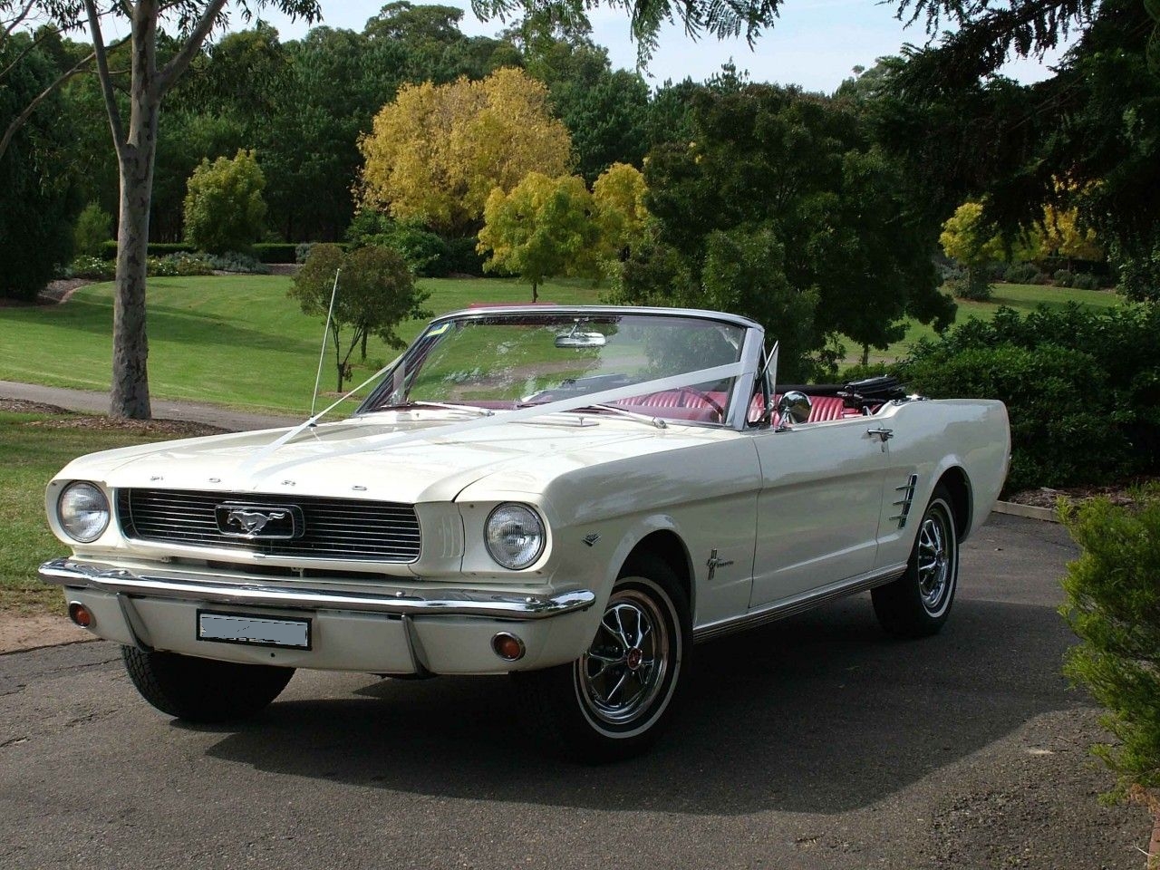 Mustang Wedding Cars